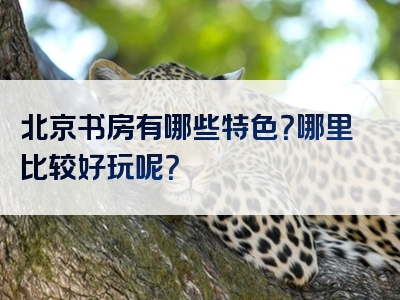 北京书房有哪些特色？哪里比较好玩呢？