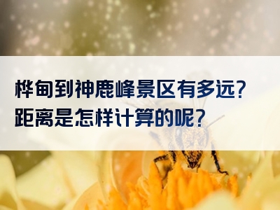 桦甸到神鹿峰景区有多远？距离是怎样计算的呢？
