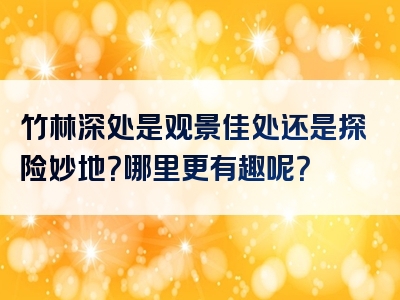 竹林深处是观景佳处还是探险妙地？哪里更有趣呢？