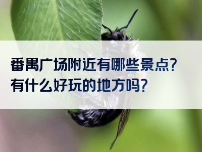 番禺广场附近有哪些景点？有什么好玩的地方吗？