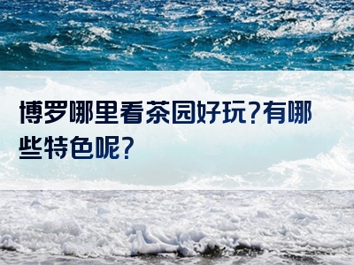 博罗哪里看茶园好玩？有哪些特色呢？