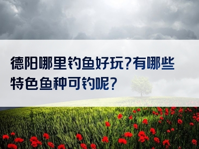 德阳哪里钓鱼好玩？有哪些特色鱼种可钓呢？