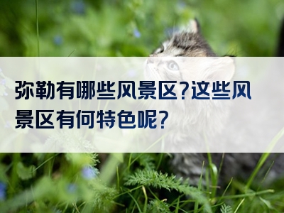 弥勒有哪些风景区？这些风景区有何特色呢？