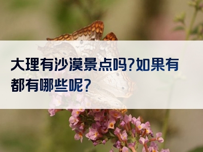 大理有沙漠景点吗？如果有都有哪些呢？