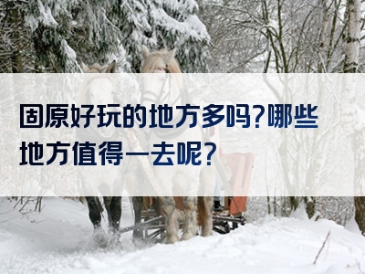 固原好玩的地方多吗？哪些地方值得一去呢？