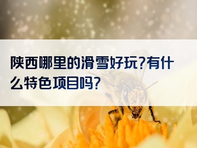 陕西哪里的滑雪好玩？有什么特色项目吗？