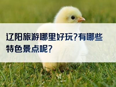 辽阳旅游哪里好玩？有哪些特色景点呢？