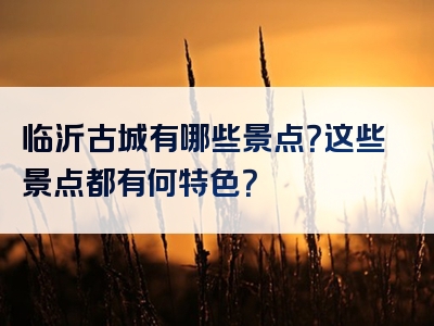 临沂古城有哪些景点？这些景点都有何特色？