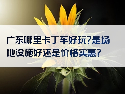 广东哪里卡丁车好玩？是场地设施好还是价格实惠？
