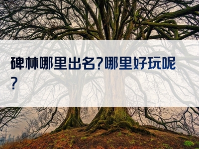 碑林哪里出名？哪里好玩呢？