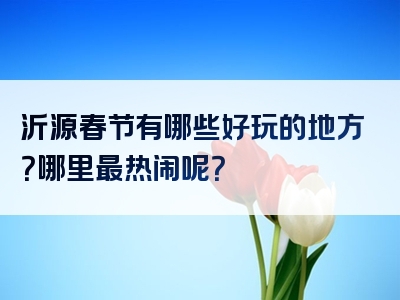 沂源春节有哪些好玩的地方？哪里最热闹呢？