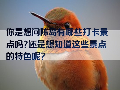 你是想问陈岛有哪些打卡景点吗？还是想知道这些景点的特色呢？