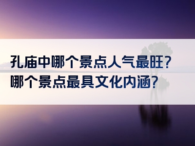 孔庙中哪个景点人气最旺？哪个景点最具文化内涵？