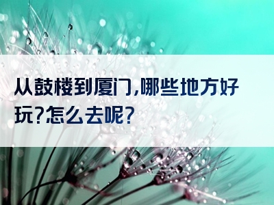 从鼓楼到厦门，哪些地方好玩？怎么去呢？
