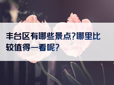 丰台区有哪些景点？哪里比较值得一看呢？