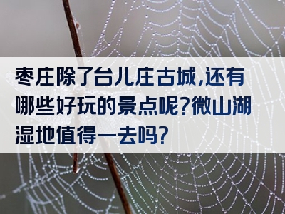 枣庄除了台儿庄古城，还有哪些好玩的景点呢？微山湖湿地值得一去吗？