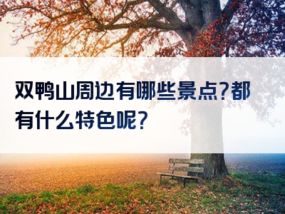 双鸭山周边有哪些景点？都有什么特色呢？