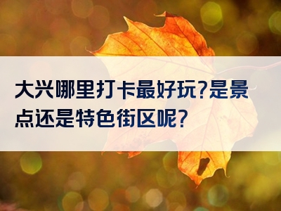 大兴哪里打卡最好玩？是景点还是特色街区呢？