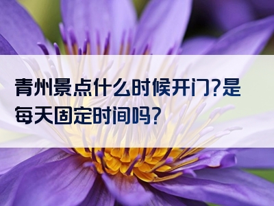 青州景点什么时候开门？是每天固定时间吗？