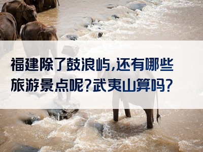 福建除了鼓浪屿，还有哪些旅游景点呢？武夷山算吗？