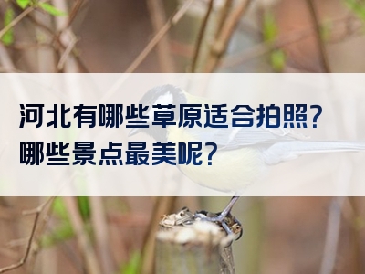 河北有哪些草原适合拍照？哪些景点最美呢？