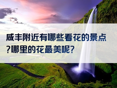 咸丰附近有哪些看花的景点？哪里的花最美呢？