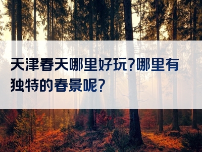 天津春天哪里好玩？哪里有独特的春景呢？