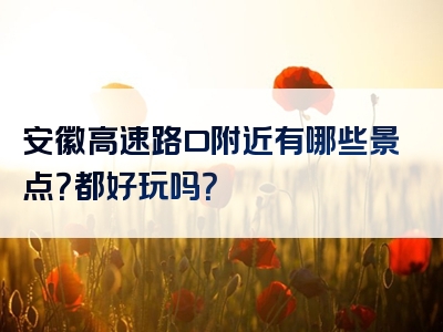 安徽高速路口附近有哪些景点？都好玩吗？