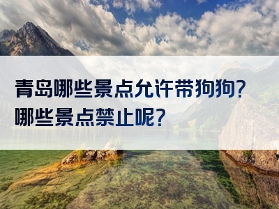 青岛哪些景点允许带狗狗？哪些景点禁止呢？