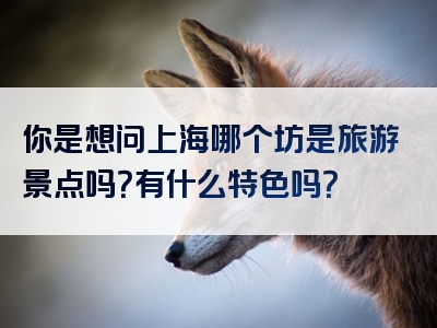 你是想问上海哪个坊是旅游景点吗？有什么特色吗？
