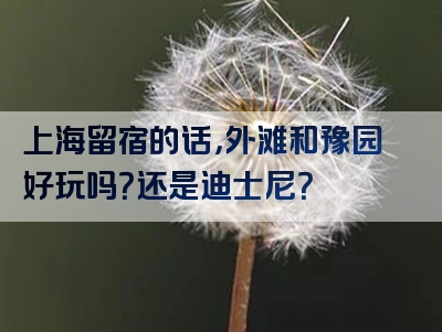 上海留宿的话，外滩和豫园好玩吗？还是迪士尼？