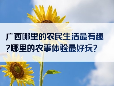 广西哪里的农民生活最有趣？哪里的农事体验最好玩？