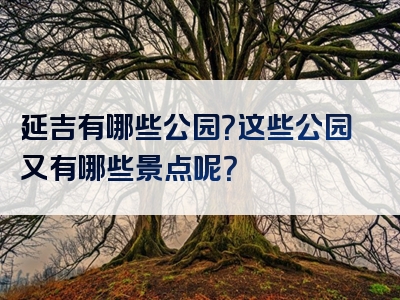 延吉有哪些公园？这些公园又有哪些景点呢？