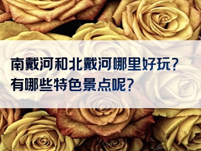 南戴河和北戴河哪里好玩？有哪些特色景点呢？