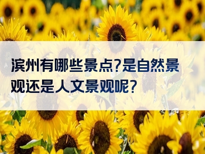 滨州有哪些景点？是自然景观还是人文景观呢？