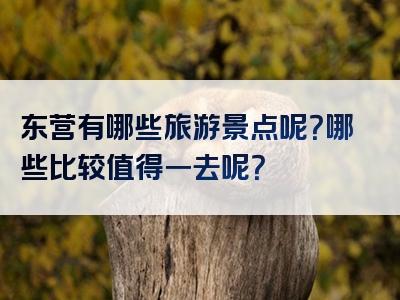 东营有哪些旅游景点呢？哪些比较值得一去呢？