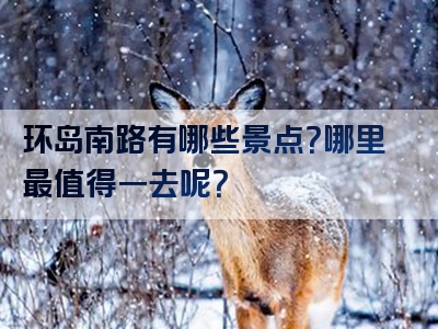 环岛南路有哪些景点？哪里最值得一去呢？