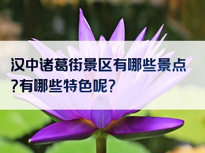 汉中诸葛街景区有哪些景点？有哪些特色呢？
