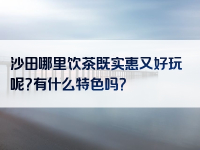 沙田哪里饮茶既实惠又好玩呢？有什么特色吗？