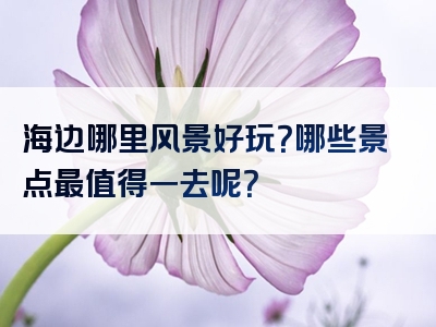 海边哪里风景好玩？哪些景点最值得一去呢？
