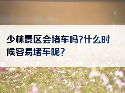 少林景区会堵车吗？什么时候容易堵车呢？