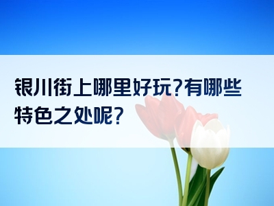 银川街上哪里好玩？有哪些特色之处呢？