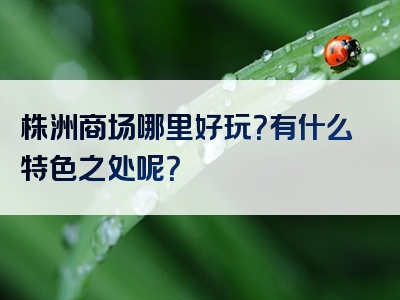 株洲商场哪里好玩？有什么特色之处呢？