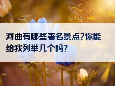 河曲有哪些著名景点？你能给我列举几个吗？