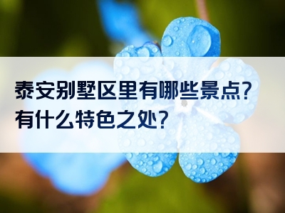 泰安别墅区里有哪些景点？有什么特色之处？