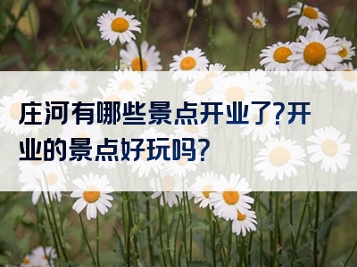 庄河有哪些景点开业了？开业的景点好玩吗？