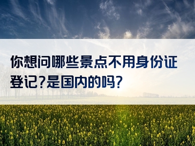 你想问哪些景点不用身份证登记？是国内的吗？