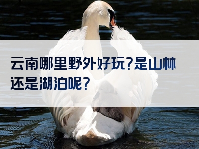 云南哪里野外好玩？是山林还是湖泊呢？