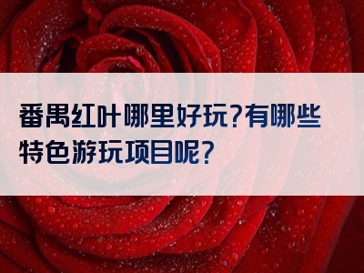番禺红叶哪里好玩？有哪些特色游玩项目呢？