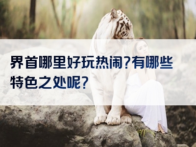 界首哪里好玩热闹？有哪些特色之处呢？